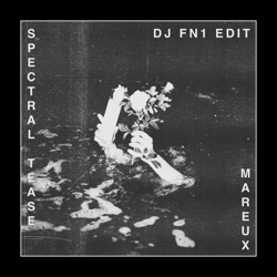 "Spectral Tease (Dj Fn1 Edit)" Album Art