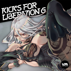 "Kick's For Liberation 6" Album Art