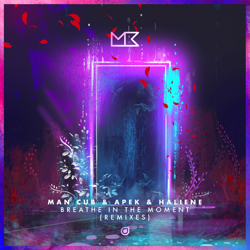 "Breathe In The Moment (Remixes)" Album Art