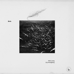 "Birds" Album Art