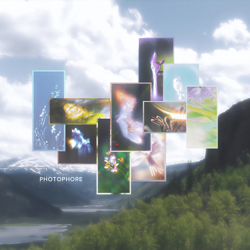 "PHOTOPHORE" Album Art