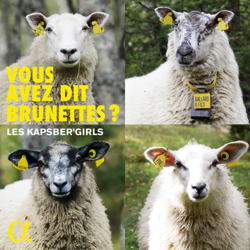"Vous avez dit Brunettes?" Album Art