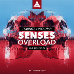"Senses Overload (The Remixes)" Album Art
