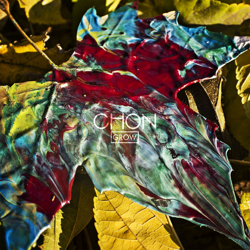 "Grow" Album Art
