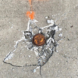 "Compliance" Album Art
