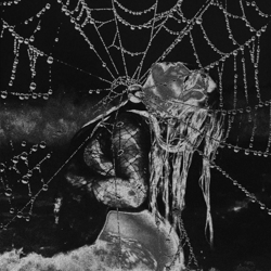 "Chills Down My Spine" Album Art