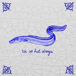 "vis op het droge" Album Art