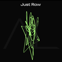 "Raw Tracks and Reworks" Album Art