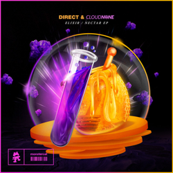 "Elixir / Nectar" Album Art