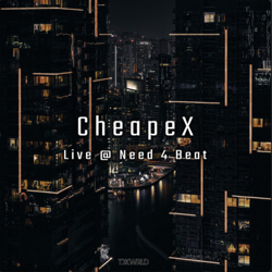 "Live @ Need 4 Beat (Remixes)" Album Art