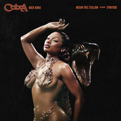 "Cobra (Rock Remix) [feat. Spiritbox]" Album Art