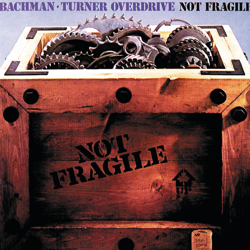 "Not Fragile" Album Art