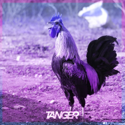 "audio combat" Album Art