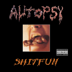 "Shitfun" Album Art