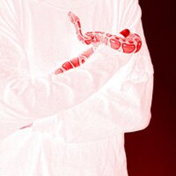 "Walk You Home" Album Art