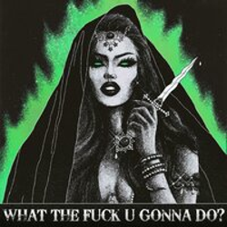 "WHAT THE FUCK U GONNA DO?" Album Art